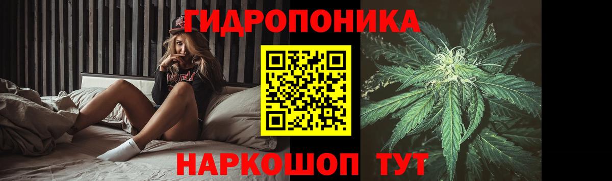 Марихуана Amnesia Мыски